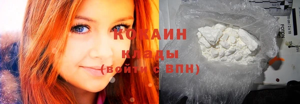 ПСИЛОЦИБИНОВЫЕ ГРИБЫ Грязовец