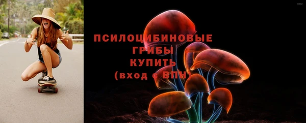 spice Рославль