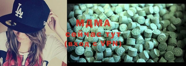 хмурый Абаза
