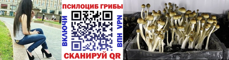 Псилоцибиновые грибы Magic Shrooms omg ссылки Ефремов